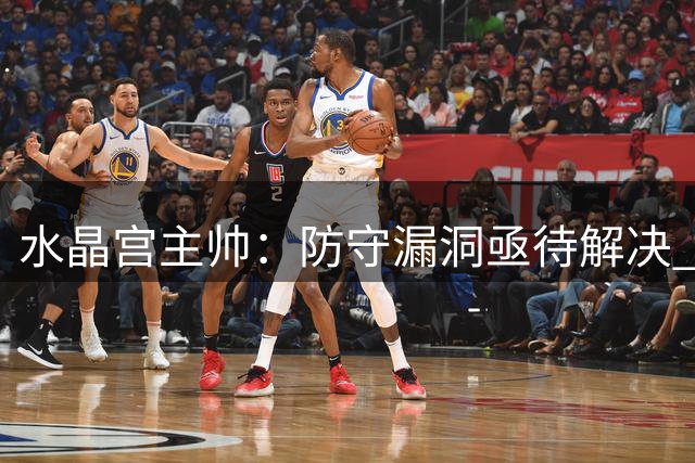 水晶宫主帅：防守漏洞亟待解决 赢球难掩隐忧