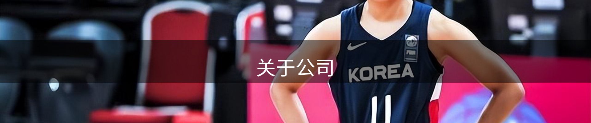 关于公司