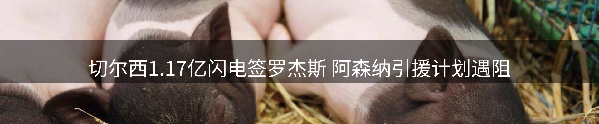新闻中心